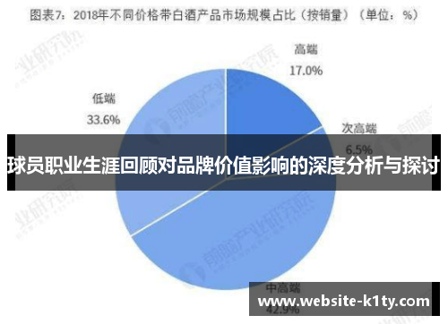 球员职业生涯回顾对品牌价值影响的深度分析与探讨