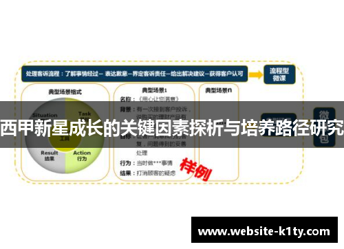 西甲新星成长的关键因素探析与培养路径研究