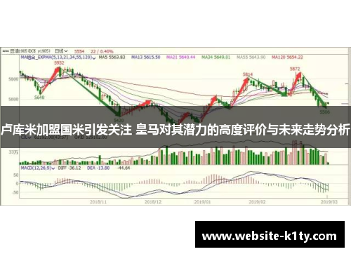 卢库米加盟国米引发关注 皇马对其潜力的高度评价与未来走势分析