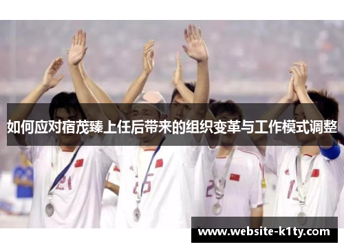 如何应对宿茂臻上任后带来的组织变革与工作模式调整