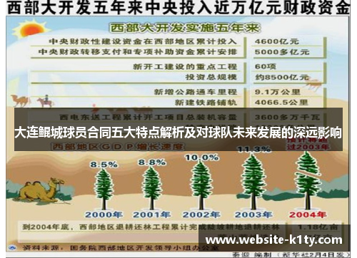 大连鲲城球员合同五大特点解析及对球队未来发展的深远影响